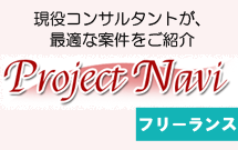 Project Navi